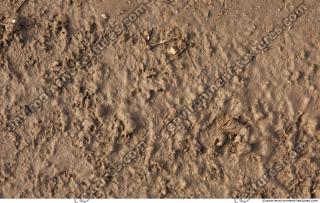 photo texture of soil mud